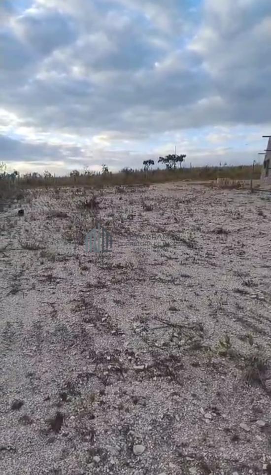lote-venda-fazenda-pontezinha-capitolio-mg-1048670