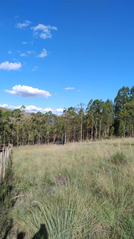lote-venda-fazenda-pontezinha-capitolio-mg-1066773