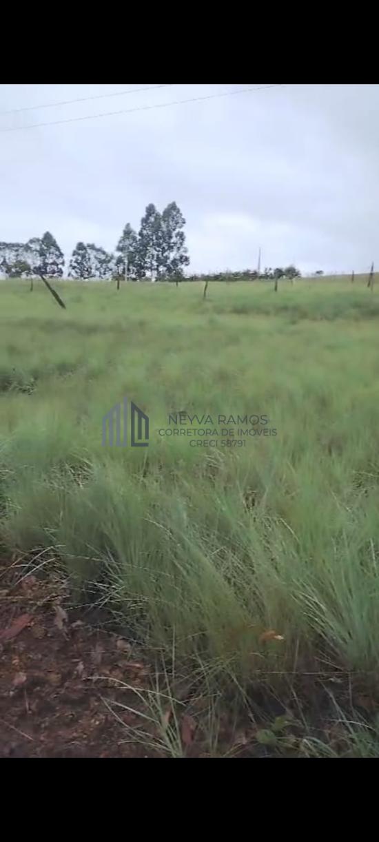 lote-venda-fazenda-pontezinha-municipio-capitolio-mg-regiao-do-turvo-1035581