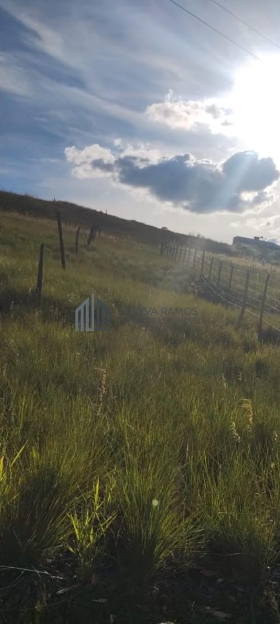 lote-venda-fazenda-pontezinha-municipio-capitolio-mg-regiao-do-turvo-1035582