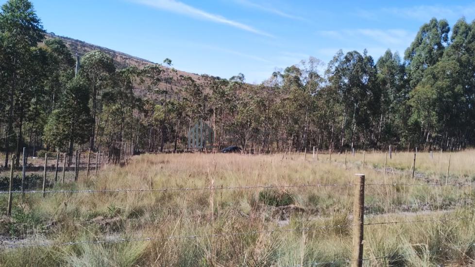 lote-venda-fazenda-pontezinha-capitolio-mg-1046165